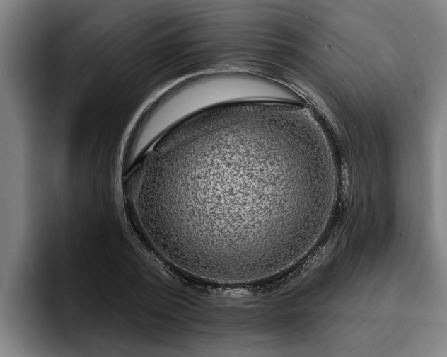 X0000094940784200712061230