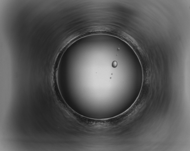 X0000094940786200712061230