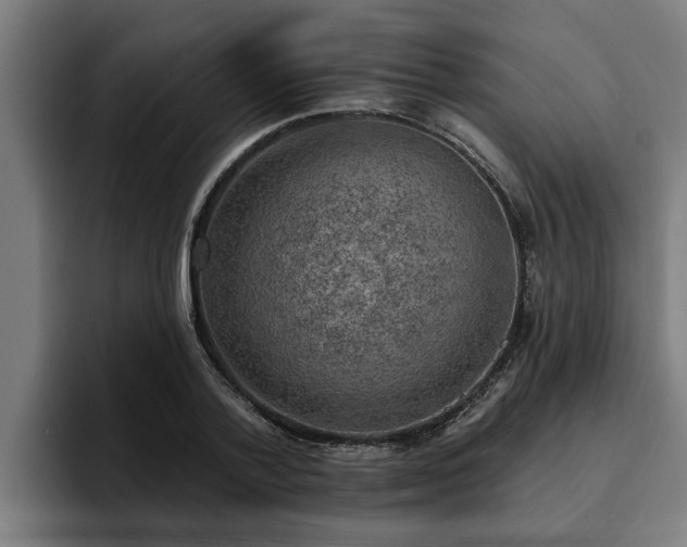 X0000094940788200712061230