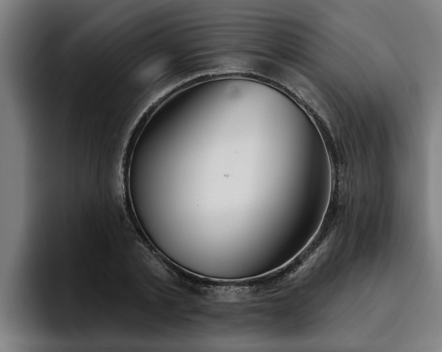 X0000094940789200712061230