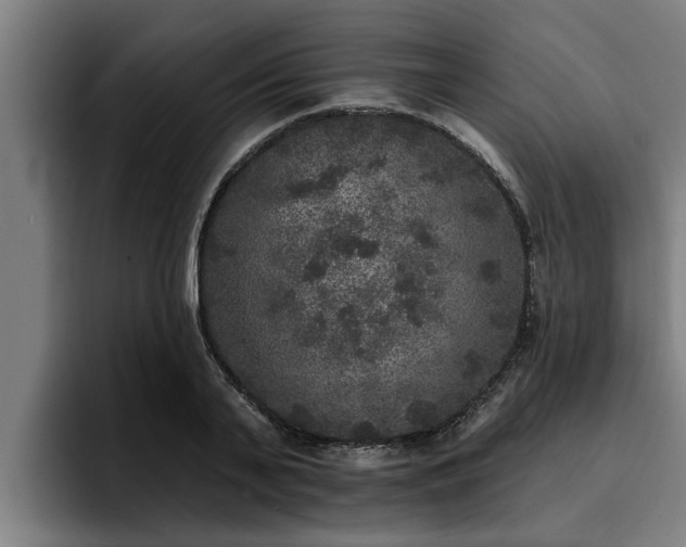 X0000094940791200712061230