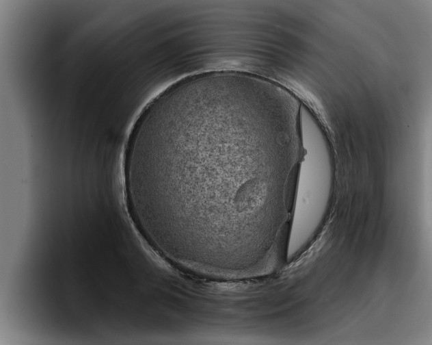 X0000094940792200712061230