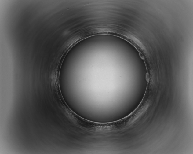 X0000094940793200712061230