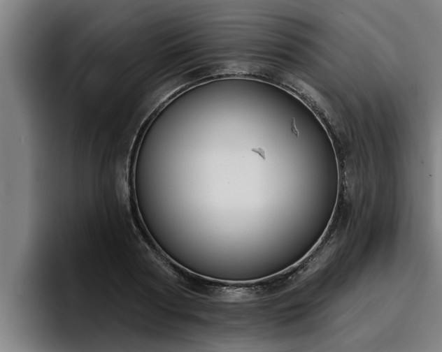 X0000094940794200712061230