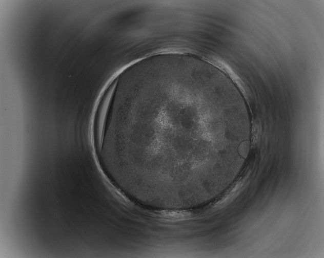 X0000094940795200712061230