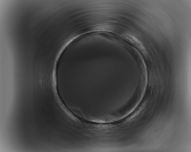 X0000094940796200712061230