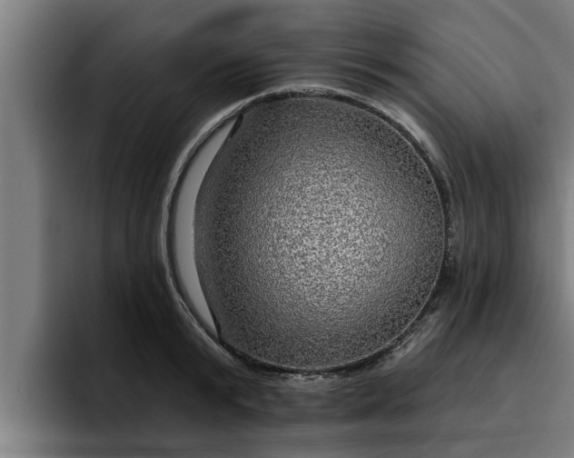 X0000094940799200712061230