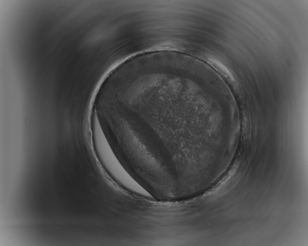 X0000094940800200712061230