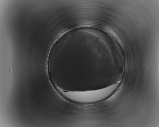 X0000094940802200712061230