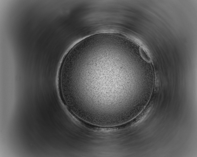 X0000094940803200712061230