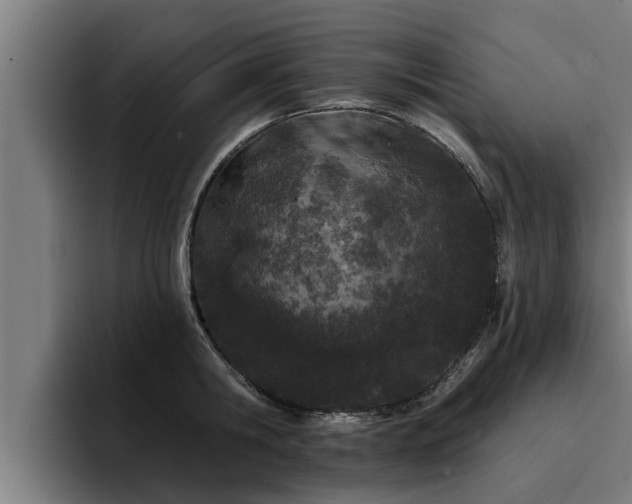 X0000094940806200712061230