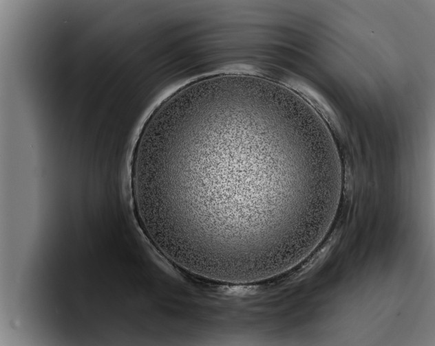 X0000094940808200712061230