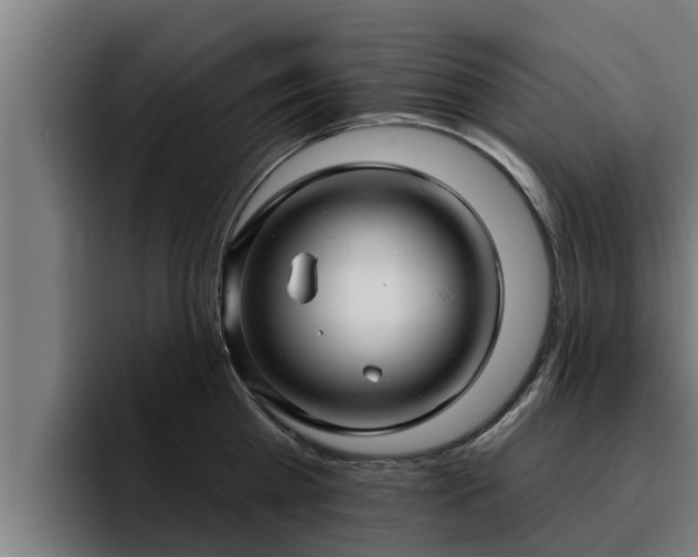 X0000094940809200712061230