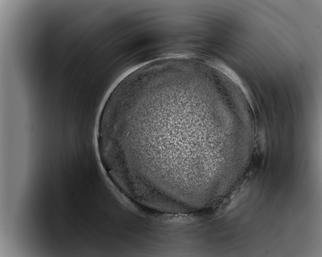 X0000094940811200712061230