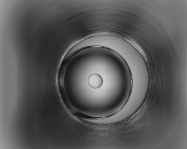 X0000094940813200712061230