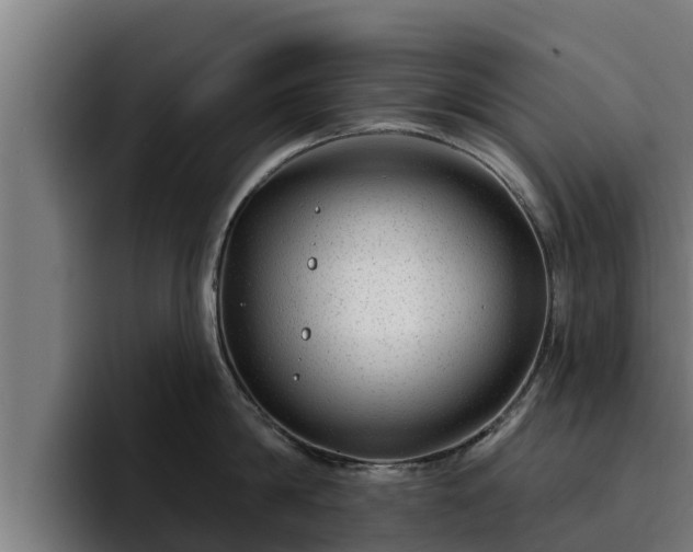 X0000094940814200712061230