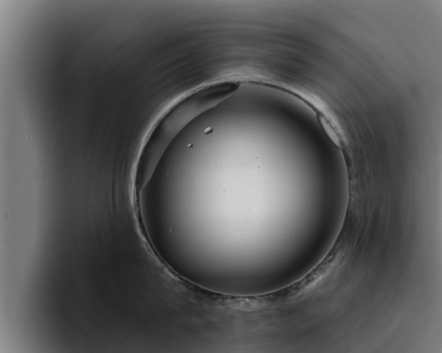 X0000094940815200712061230