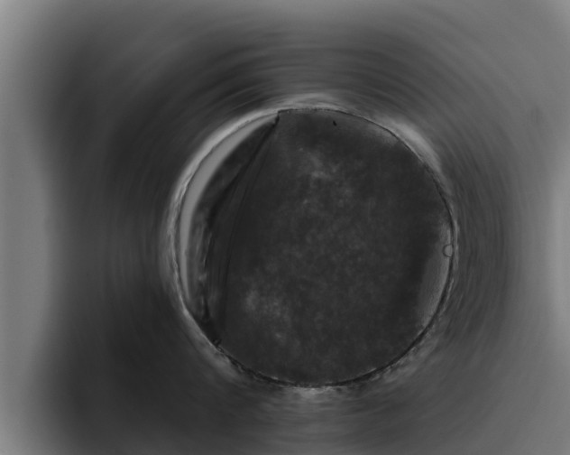 X0000094940816200712061230