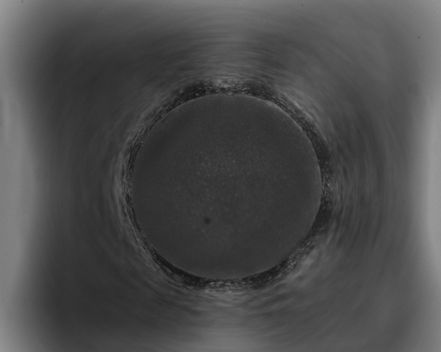 X0000094940817200712061229