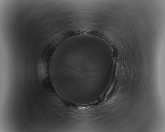 X0000094940818200712061229