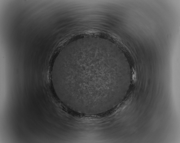 X0000094940819200712061229