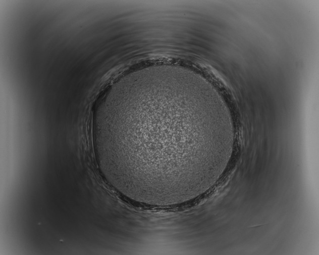 X0000094940821200712061229