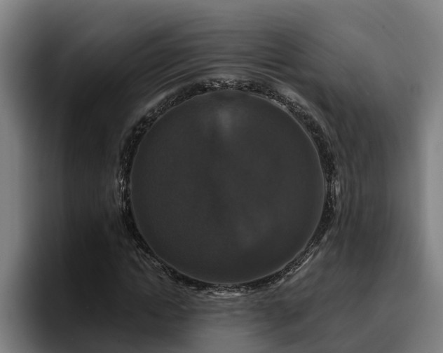 X0000094940822200712061229