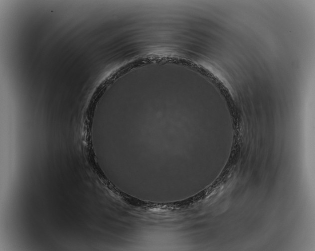 X0000094940823200712061229