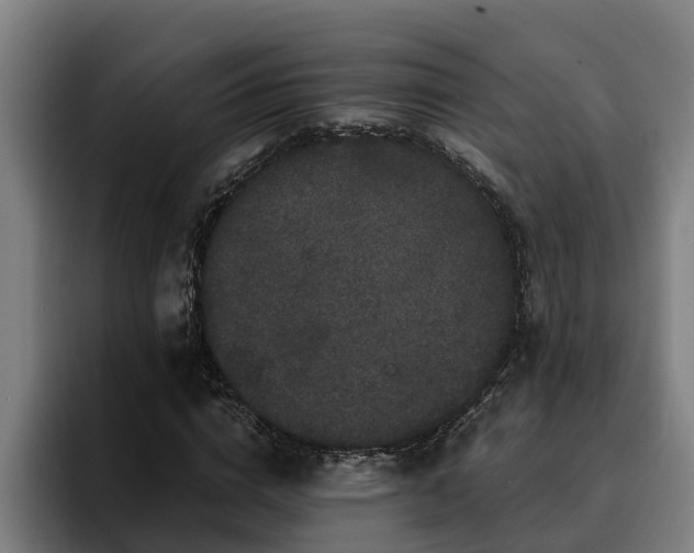 X0000094940824200712061229