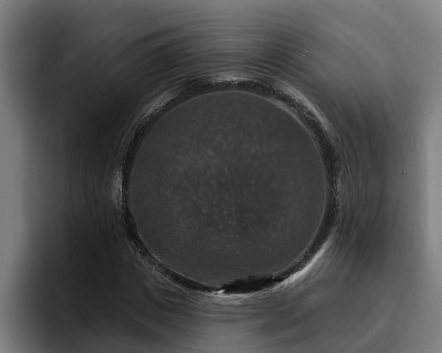 X0000094940825200712061229