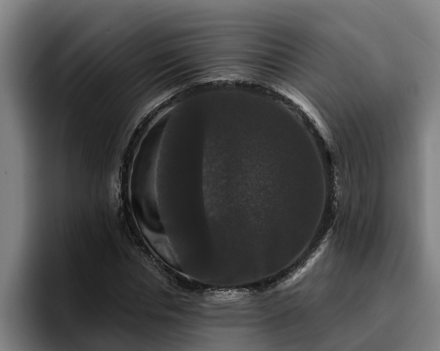 X0000094940826200712061229