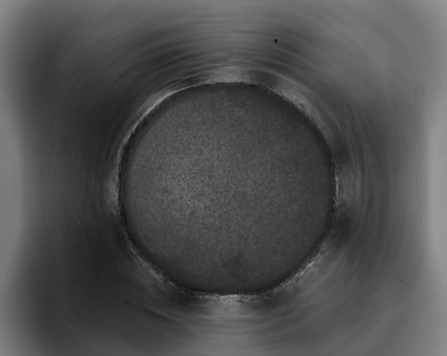 X0000094940828200712061229