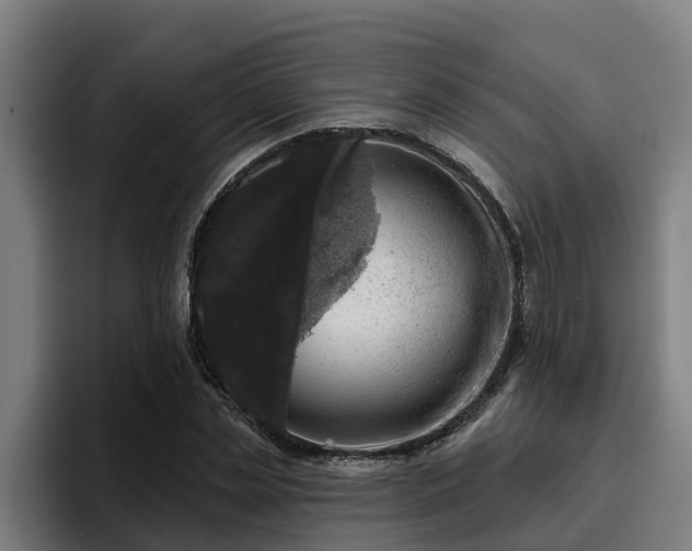 X0000094940829200712061229