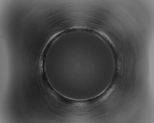 X0000094940830200712061229