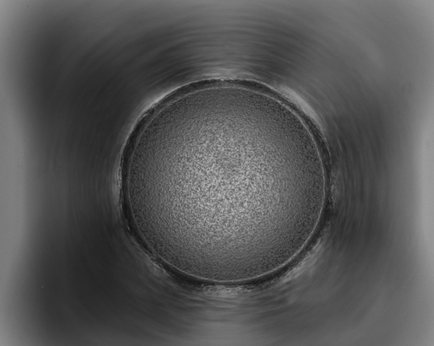 X0000094940831200712061229