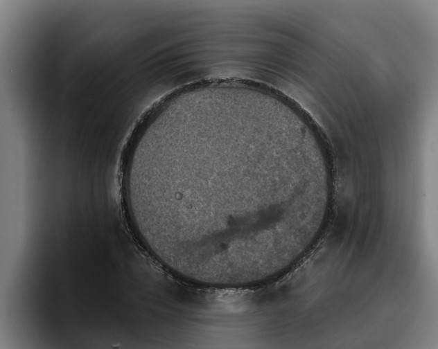 X0000094940832200712061229