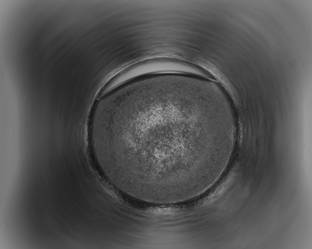 X0000094940834200712061229