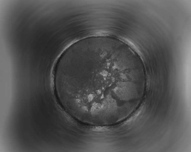 X0000094940835200712061229