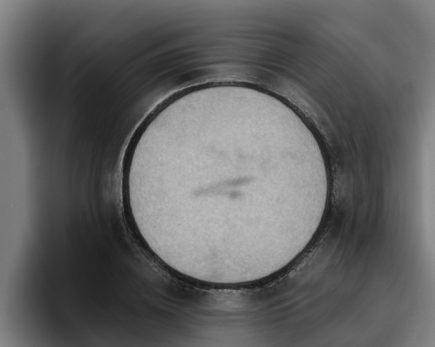 X0000094940836200712061229