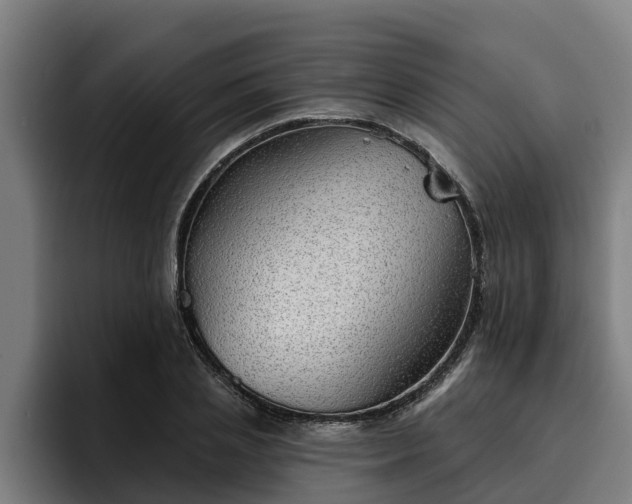 X0000094940837200712061229