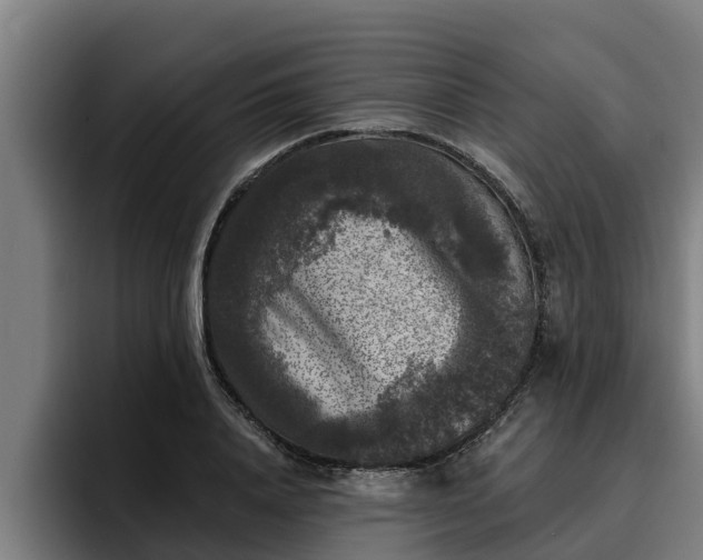 X0000094940840200712061229