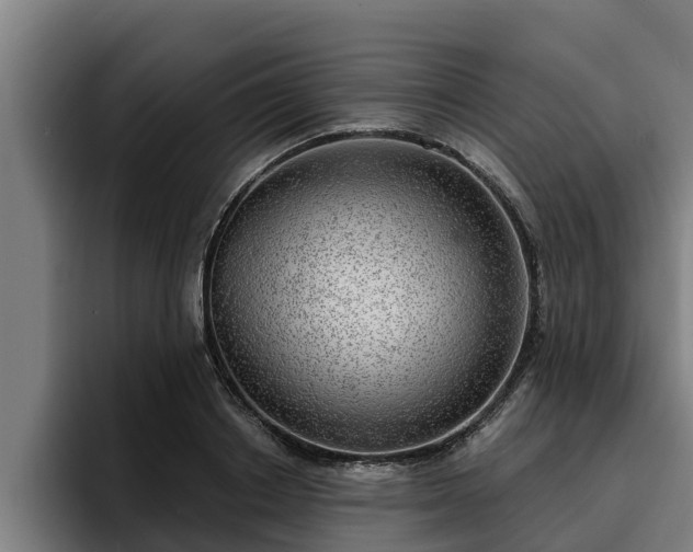 X0000094940842200712061229