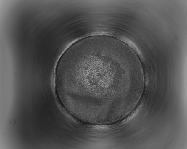 X0000094940844200712061229