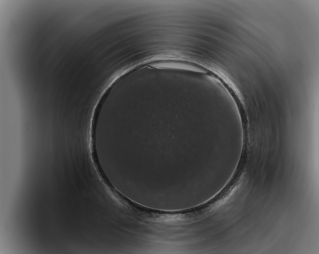 X0000094940845200712061229