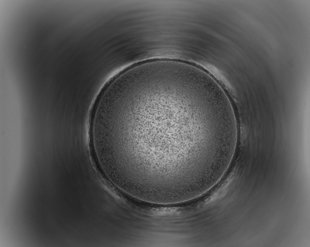 X0000094940846200712061229