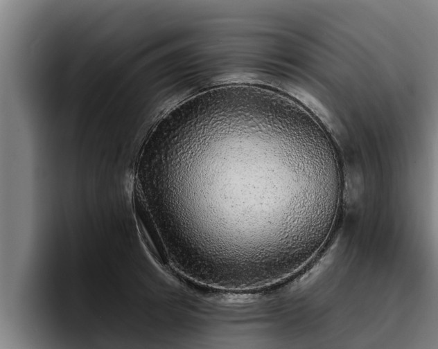 X0000094940849200712061229