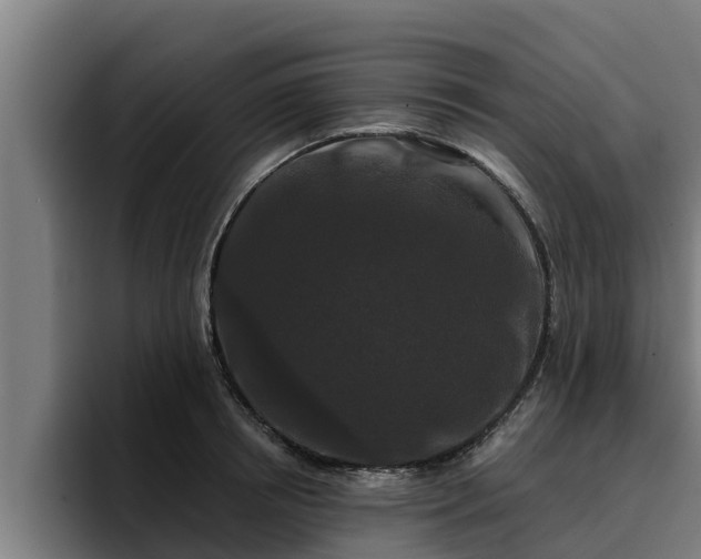 X0000094940850200712061230