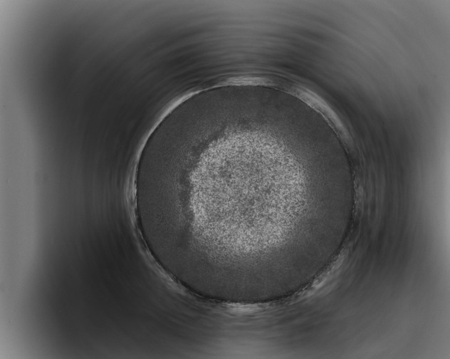 X0000094940852200712061230