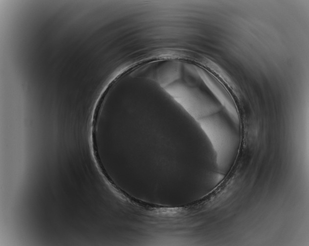 X0000094940853200712061230