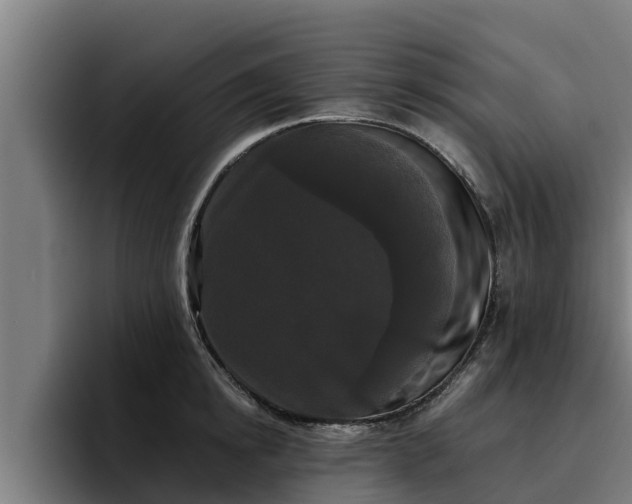 X0000094940854200712061230